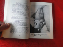 Load image into Gallery viewer, Vintage Erotic Paperback Book Everything You Wanted to See and Read About Love and Sex 1