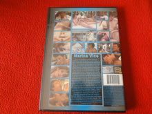 Load image into Gallery viewer, Vintage Erotic Sexy Adult XXX DVD Porn Movie Marina Vice John Holmes BB