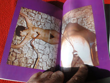 Load image into Gallery viewer, Vintage Adult Paperback Book The Urge to Punish Color Illustrated P14