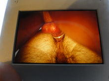 Load image into Gallery viewer, VINTAGE 35MM GAY MALE SLIDE BEEFCAKE MUSCLE NUDE FALCON STUDIOS B14s