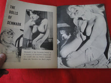 Load image into Gallery viewer, Vintage Nude Erotic Sexy Adult Magazine Fabulous Femmes 1963 P71