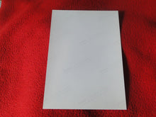 Load image into Gallery viewer, Vintage 18 Y.O + Gay Interest Colt/Fox Studios Nude Hot Hung Male Photo D20q