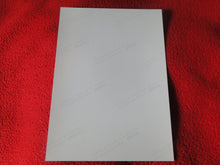 Load image into Gallery viewer, Vintage 18 Y.O + Gay Interest Colt/Fox Studios Nude Hot Hung Male Photo D20r