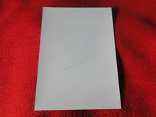 Load image into Gallery viewer, Vintage 18 Y.O + Gay Interest Colt/Fox Studios Nude Hot Hung Male Photo D20x