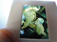 Load image into Gallery viewer, VINTAGE 35MM GAY MALE SLIDE BEEFCAKE MUSCLE NUDE FALCON STUDIOS B2f