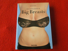 Load image into Gallery viewer, Vintage Sexy Erotic Adult Book The Little Book of Big Breasts Dian Hanson P8