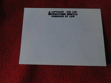 Load image into Gallery viewer, Vintage 18 Y.O. + Gay Interest Chippendale Colt Muscle Nude Hung Male Photo D11i