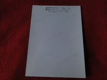 Load image into Gallery viewer, Vintage 18 Y.O. + Gay Interest Chippendale Colt Muscle Nude Hung Male Photo D11v