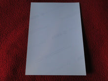 Load image into Gallery viewer, Vintage 18 Y.O. + Gay Interest Chippendale Colt Muscle Nude Hung Male Photo D11a7