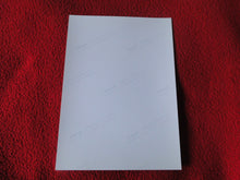 Load image into Gallery viewer, Vintage 18 Y.O. + Gay Interest Chippendale Colt Muscle Nude Hung Male Photo D9g