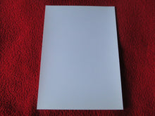 Load image into Gallery viewer, Vintage 18 Y.O. + Gay Interest Chippendale Colt Muscle Nude Hung Male Photo D9m