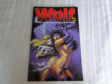 Load image into Gallery viewer, Vintage Nude Erotic Sexy Adult Comic Book Wolf 2          132
