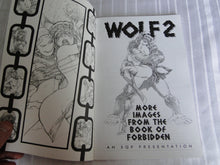 Load image into Gallery viewer, Vintage Nude Erotic Sexy Adult Comic Book Wolf 2          132
