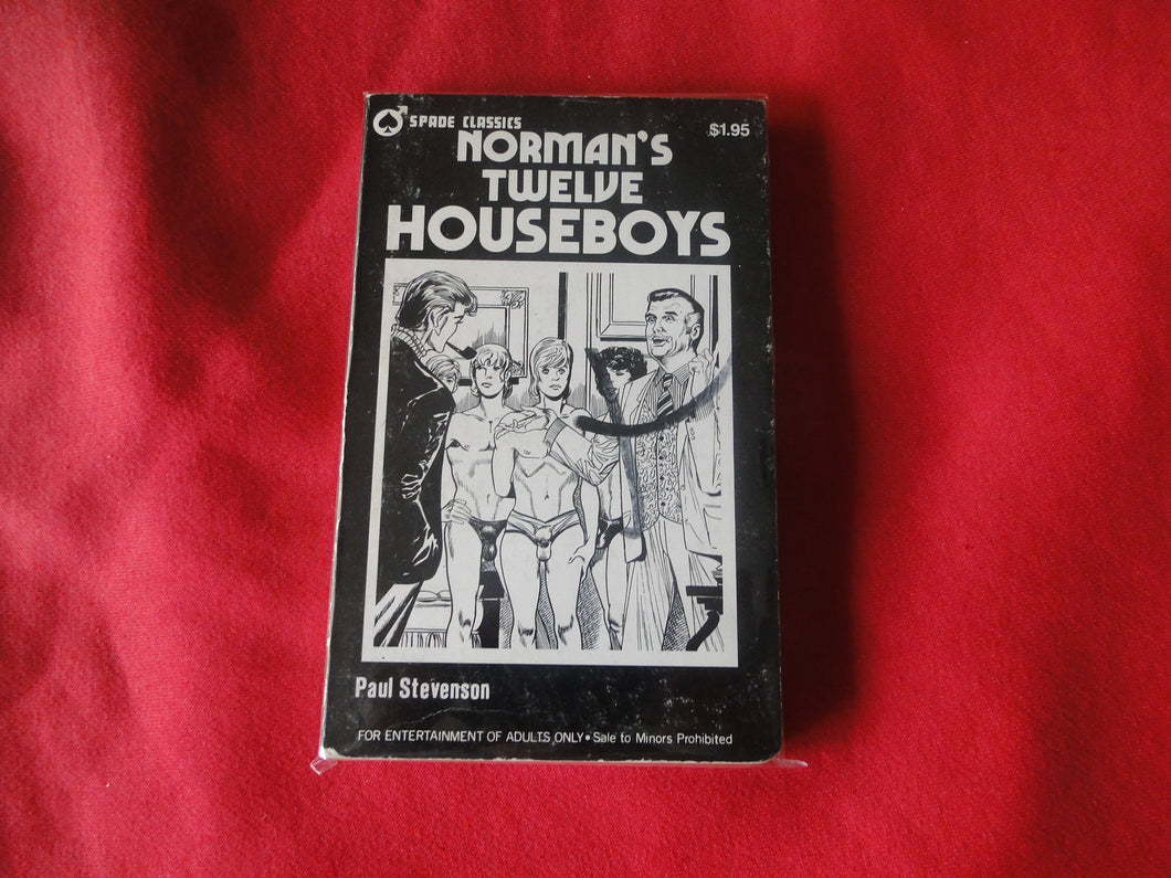 Vintage Adult Paperback Novel/Book Gay Interest Spade Classics Norman's Twelve Houseboys   PB5