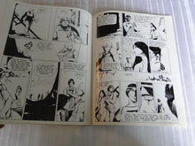 Load image into Gallery viewer, Vintage Nude Erotic Sexy Adult Comic A Collection of Fictional Narratives Dennis Fujitake  146
