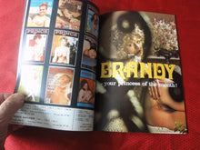 Load image into Gallery viewer, Vintage Nude Erotic Sexy Adult Magazine Prince 9 Swedish         JB5
