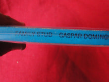 Load image into Gallery viewer, Vintage Adult Paperback Book Family Stud      G3
