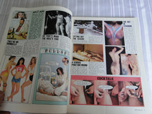 Load image into Gallery viewer, Vintage Nude Erotic Sexy Adult Magazine Chic February 1982     101

