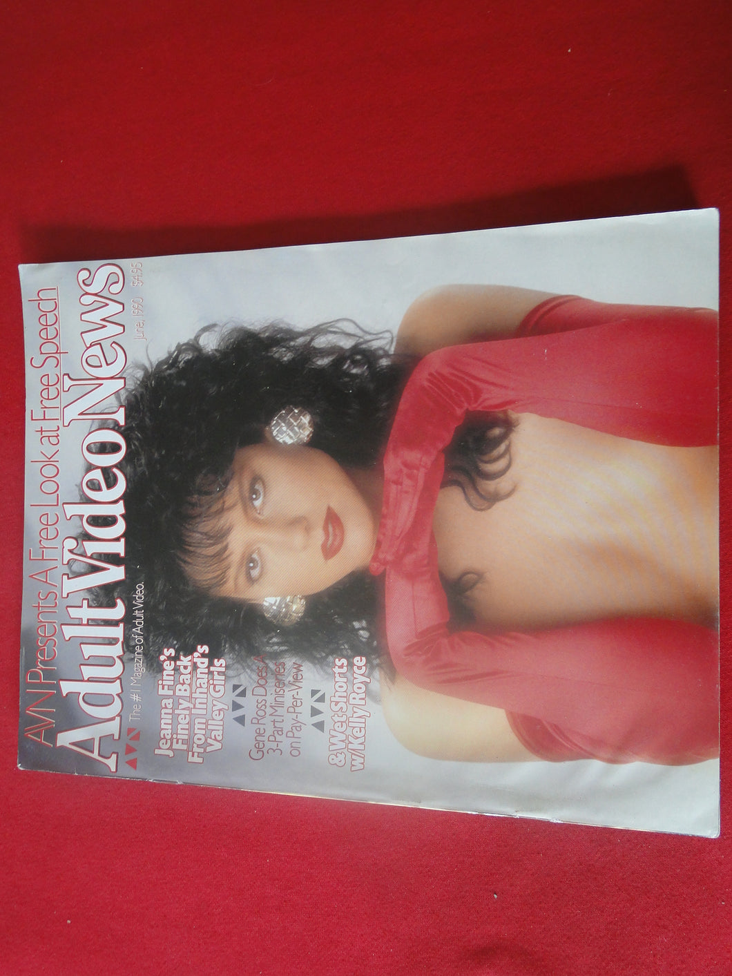 Vintage Nude Erotic Sexy Adult Magazine Adult Video News June 1990     JB51