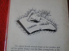 Load image into Gallery viewer, Vintage Erotic Adult Paperback Novel/Book The Family Secret    G3
