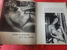 Load image into Gallery viewer, Vintage Nude Erotic Sexy Adult Magazine Plush  JB1a
