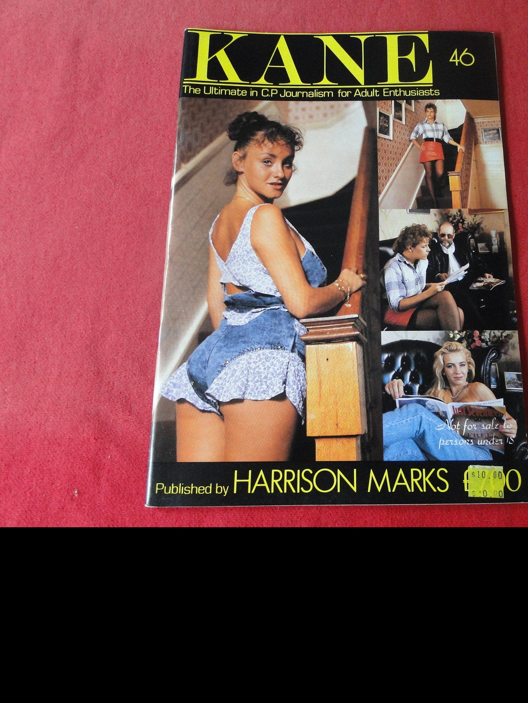 Vintage Nude Erotic Sexy Adult Magazine BDSM Kane 46 Harrison Marks       1H