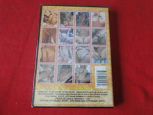 Load image into Gallery viewer, Vintage Adult Erotic Sexy Porn XXX DVD Movie SEALED No Dicks For These Chicks V. 3   BT1
