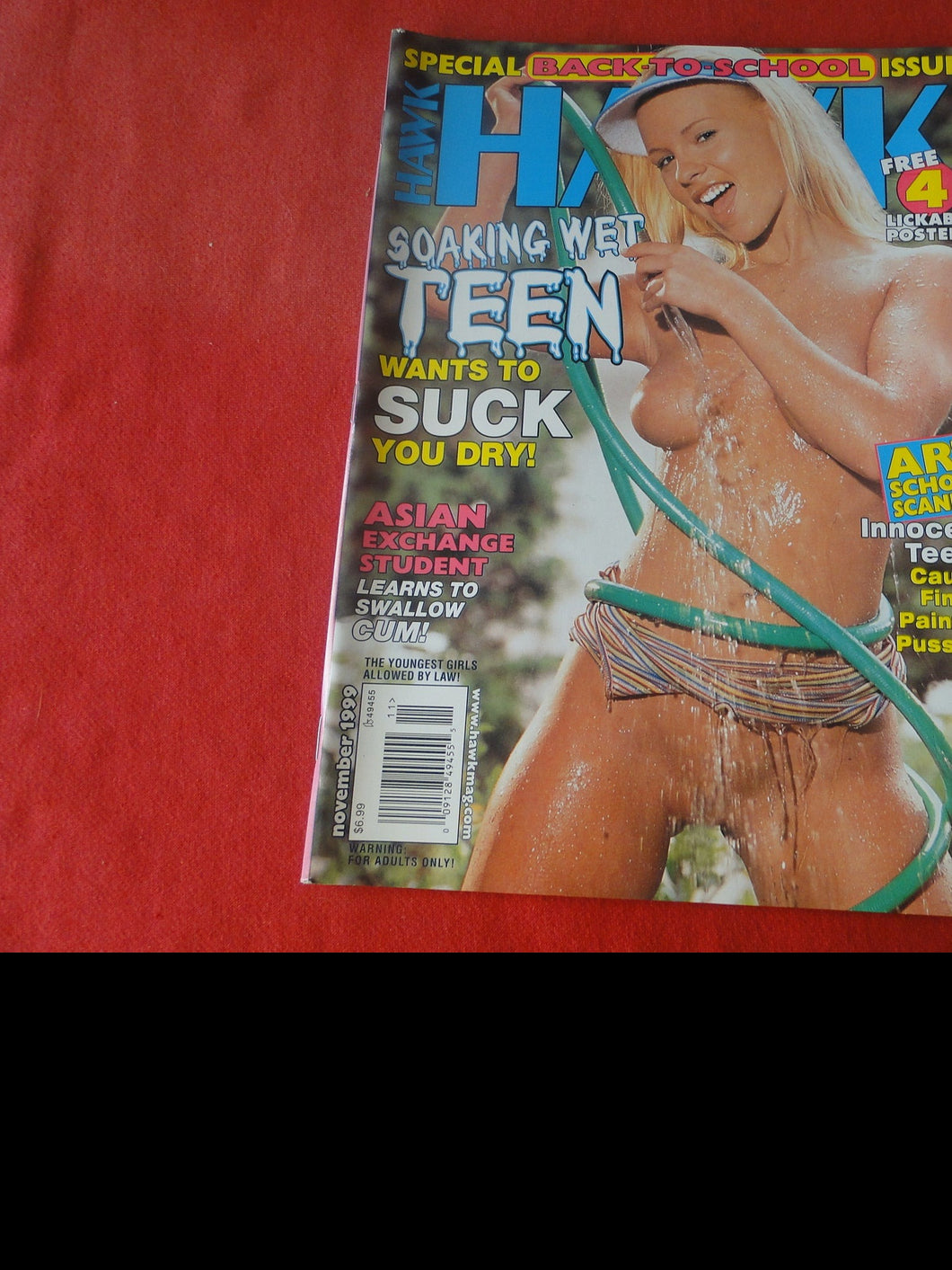 Vintage Nude Erotic Sexy Adult Magazine Hawk November 1999        P95