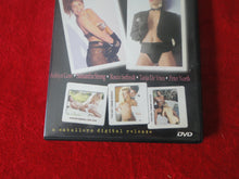 Load image into Gallery viewer, Vintage Adult Erotic Sexy Porn XXX DVD The Best of Andrew Blake        X12
