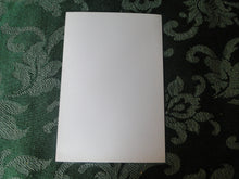 Load image into Gallery viewer, Vintage Erotic Sexy Nude Woman Photo 4 x 6 Big Tits Hairy Pussy        BBa
