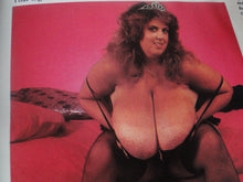 Load image into Gallery viewer, Vintage Nude Erotic Sexy Adult Magazine Juggs August 1989             69
