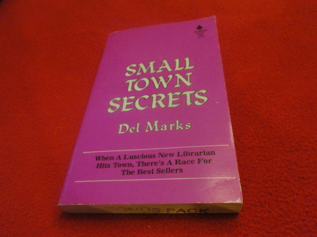 Vintage Erotic Adult Paperback Book/Novel Small Town Secrets  G4