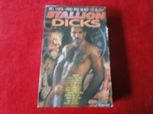 Load image into Gallery viewer, Vintage Adult Erotic Gay Interest Porn VHS Tape Stallion Dicks       V5
