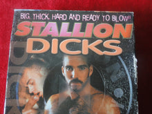 Load image into Gallery viewer, Vintage Adult Erotic Gay Interest Porn VHS Tape Stallion Dicks       V5
