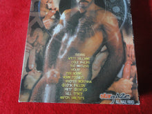 Load image into Gallery viewer, Vintage Adult Erotic Gay Interest Porn VHS Tape Stallion Dicks       V5
