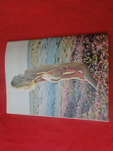 Load image into Gallery viewer, Vintage Nude Erotic Sexy Adult Magazine Parliament Line &amp; Form All Color 1973   P74
