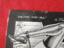 Load image into Gallery viewer, Vintage Nude Erotic Sexy Adult Magazine/Booklet BDSM Vengeance Rape Mutrix   P11
