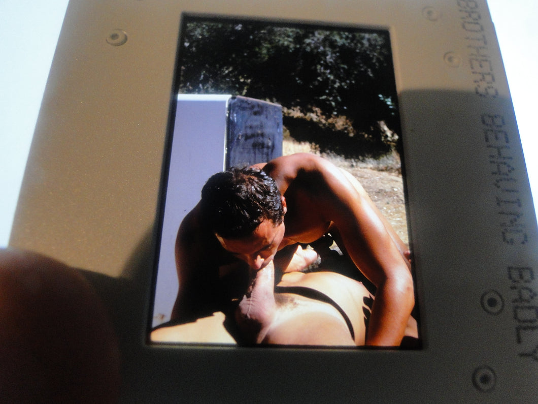 VINTAGE 35MM GAY MALE SLIDE BEEFCAKE MUSCLE NUDE FALCON STUDIOS  T5j