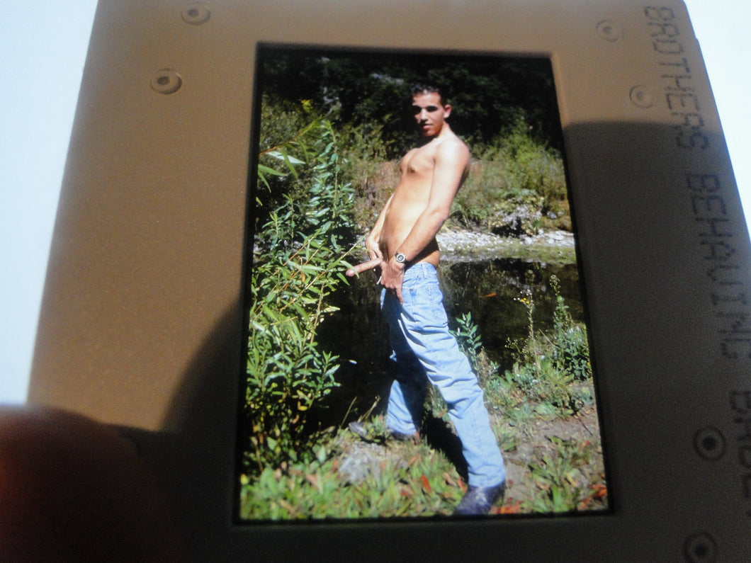 VINTAGE 35MM GAY MALE SLIDE BEEFCAKE MUSCLE NUDE FALCON STUDIOS  T5n