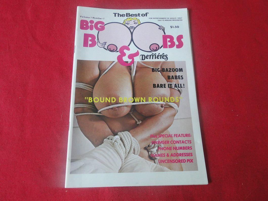 Vintage Nude Erotic Sexy Adult Magazine The Best of Big Boobs & Derrieres     P74