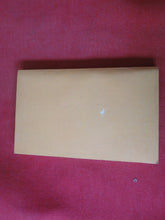 Load image into Gallery viewer, Vintage Adult Paperback Novel/Book Wild Hot Babysitter 1982 Greenleaf      X12
