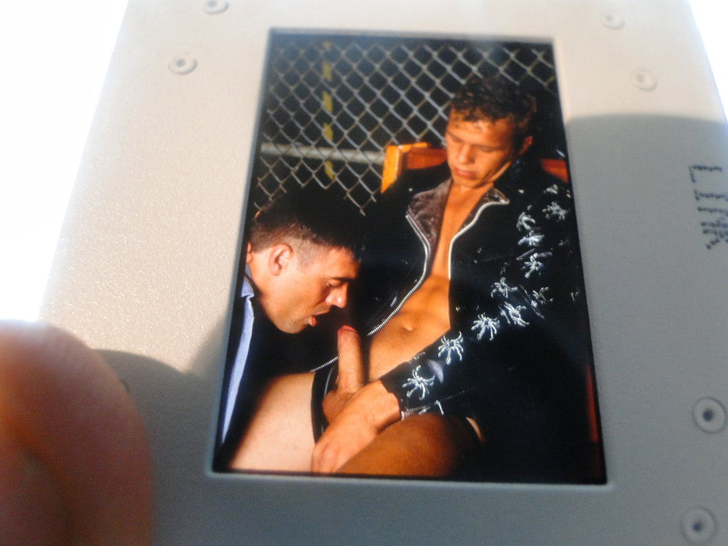 VINTAGE 35MM GAY MALE SLIDE BEEFCAKE MUSCLE NUDE FALCON STUDIOS Z28^