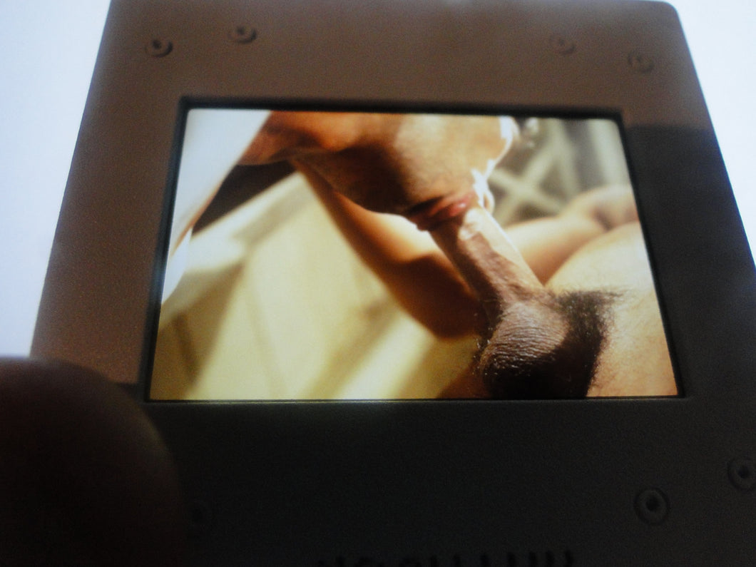 VINTAGE 35MM GAY MALE SLIDE BEEFCAKE MUSCLE NUDE FALCON STUDIOS Z29s