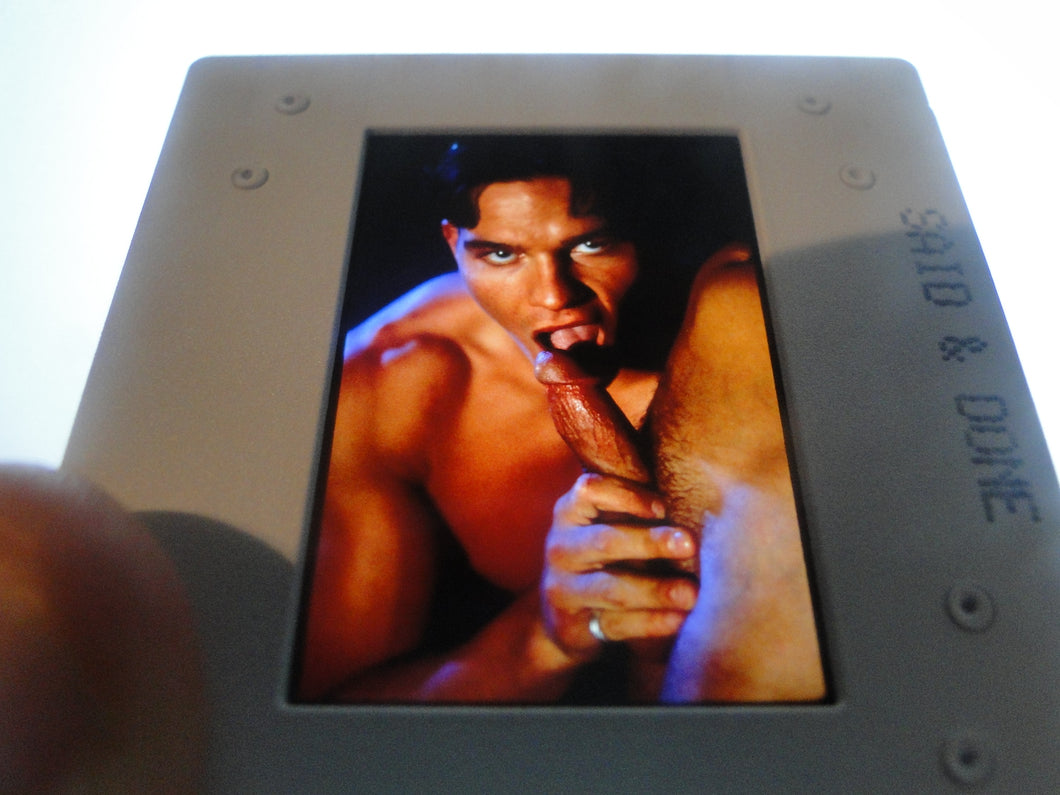 VINTAGE 35MM GAY MALE SLIDE BEEFCAKE MUSCLE NUDE FALCON STUDIOS Z29v