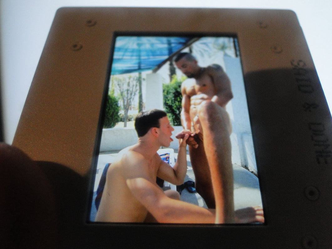 VINTAGE 35MM GAY MALE SLIDE BEEFCAKE MUSCLE NUDE FALCON STUDIOS Z29>