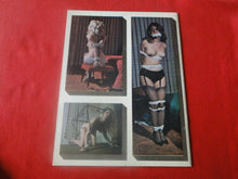 Load image into Gallery viewer, Vintage Nude Erotic Sexy Adult Magazine BDSM Taskmaster V.1 #3 1974       GN
