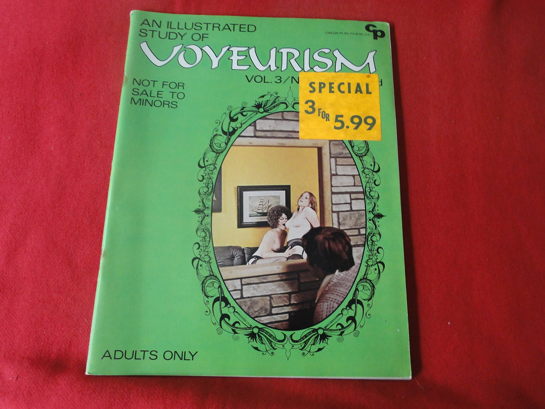Vintage Nude Erotic Sexy Adult Magazine Voyeurism 1972      JB63
