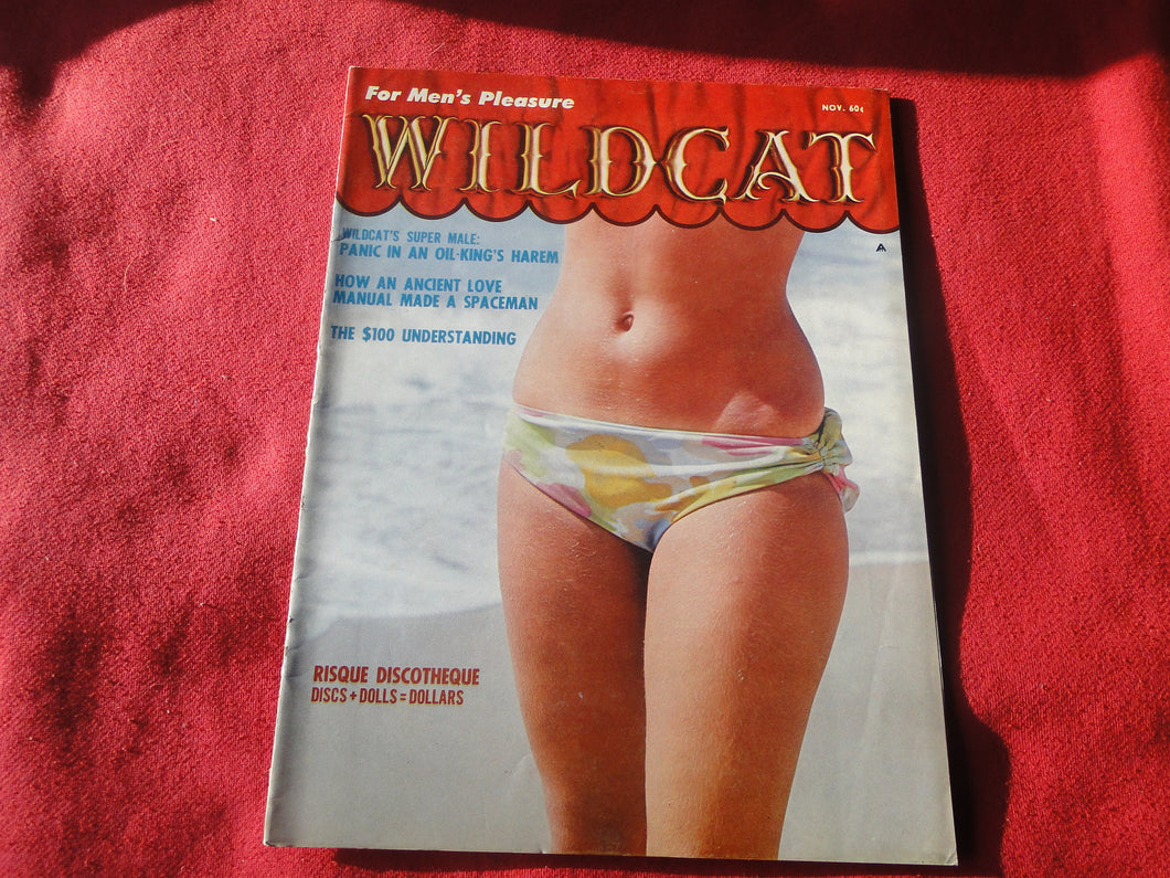 Vintage Nude Erotic Sexy Adult Magazine Wildcat November 1965       JB3a