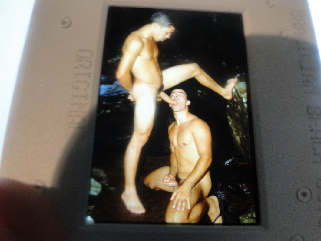 VINTAGE 35MM GAY MALE SLIDE BEEFCAKE MUSCLE NUDE FALCON STUDIOS Z13m