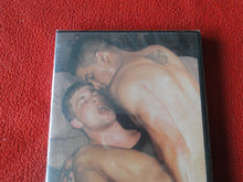 Load image into Gallery viewer, Vintage Adult Gay Porn DVD XXX Movie SEALED Jocks Road Snow Trip Big Bear     10
